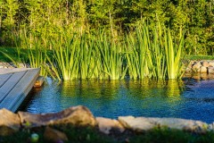 gabriel-jezirka-u_popovic_JHA08494