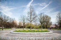 gabriel-parky-prosek-4-_MG_0210